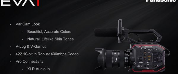 Leggi tutto:  PANASONIC EVA1